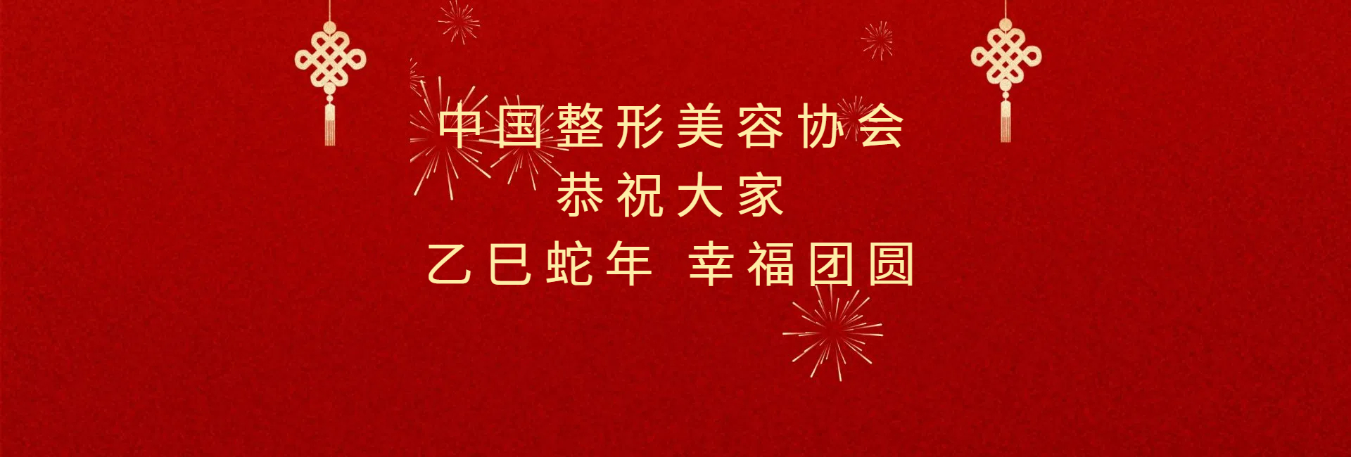 中国整形美容协会恭祝大家 乙巳蛇年 幸福团圆